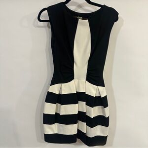 Eva Franco Black and White Striped Fit-and-Flare Mini Dress